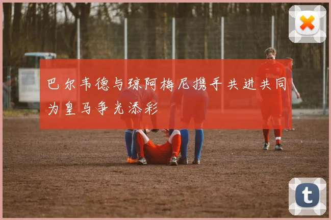 巴尔韦德与琼阿梅尼携手共进共同为皇马争光添彩