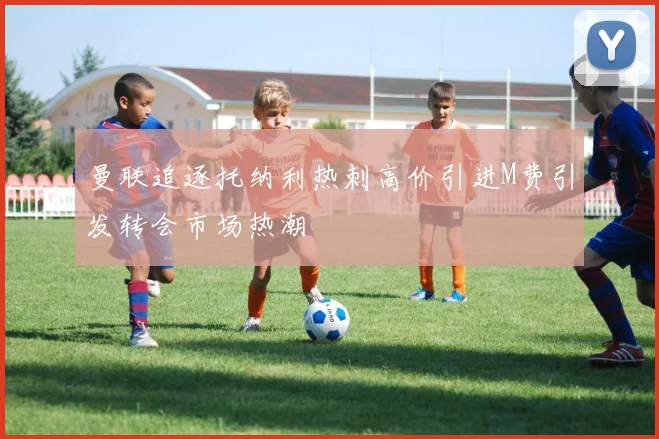 曼联追逐托纳利热刺高价引进M费引发转会市场热潮