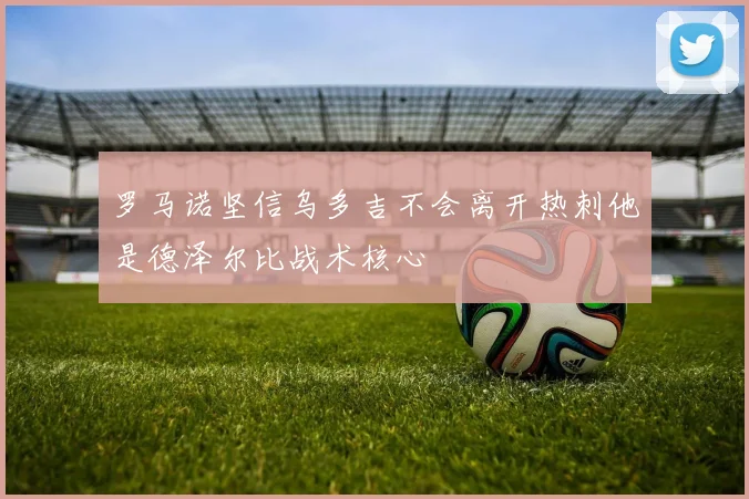 罗马诺坚信乌多吉不会离开热刺他是德泽尔比战术核心